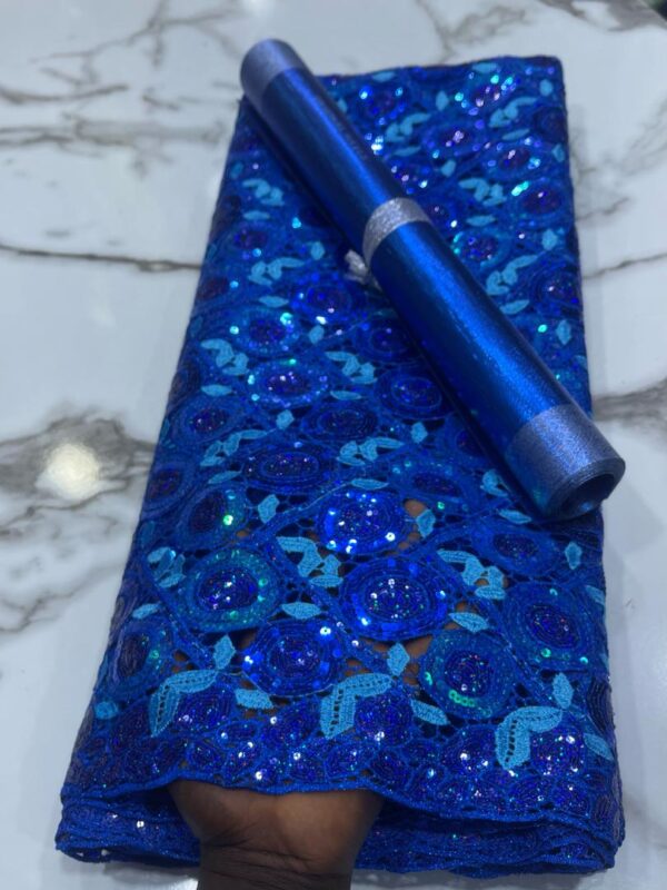 Lace Lace(Aso ebi) with different colours  5 yards - Image 5