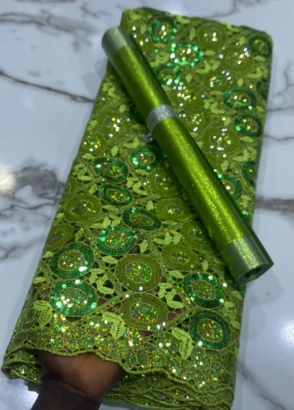 Lace Lace(Aso ebi) with different colours  5 yards - Image 4