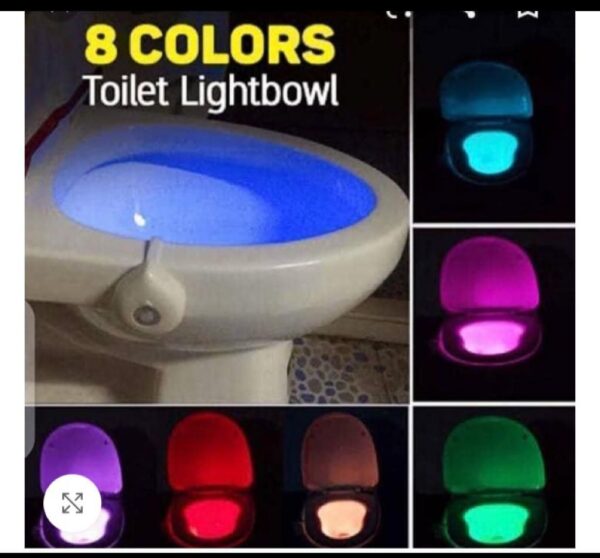 Toilet bowl light