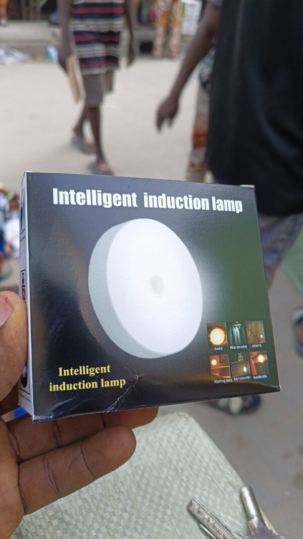 Intelligent induction light